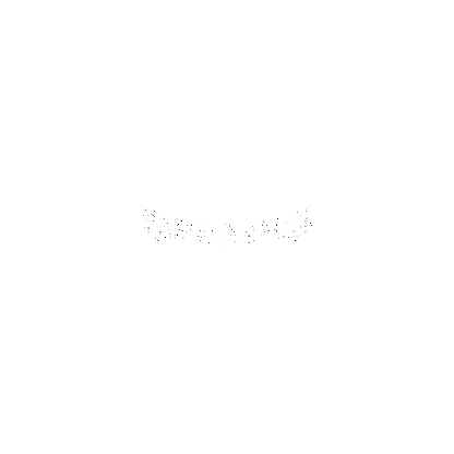 SIGALISM BANNER